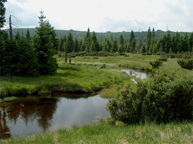 Nedotčená krajina